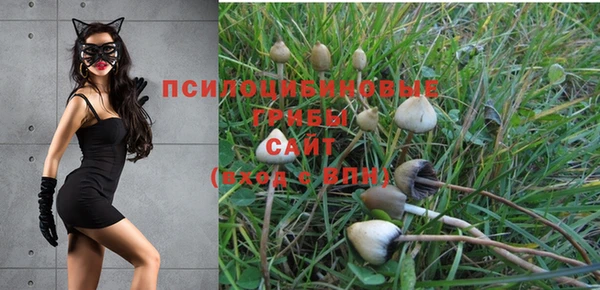 jwh Баксан