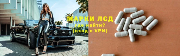 ПСИЛОЦИБИНОВЫЕ ГРИБЫ Майский