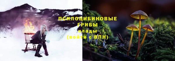 ешки Магадан