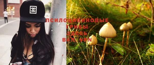 ПСИЛОЦИБИНОВЫЕ ГРИБЫ Майский