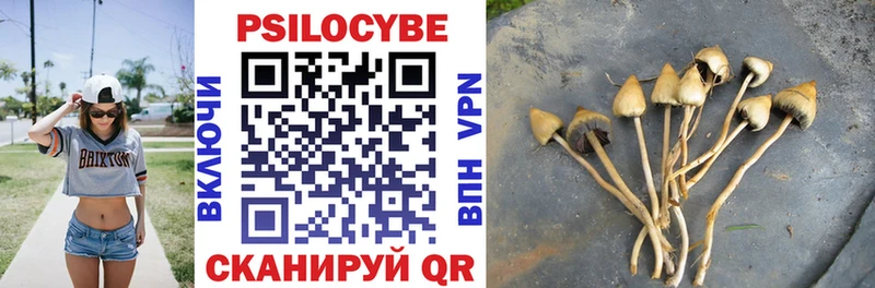 Псилоцибиновые грибы ЛСД  Купить закладки  Амурск 