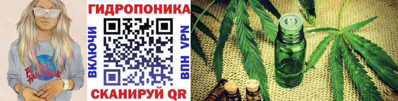 Купить закладки  Амурск  Конопля AK-47 